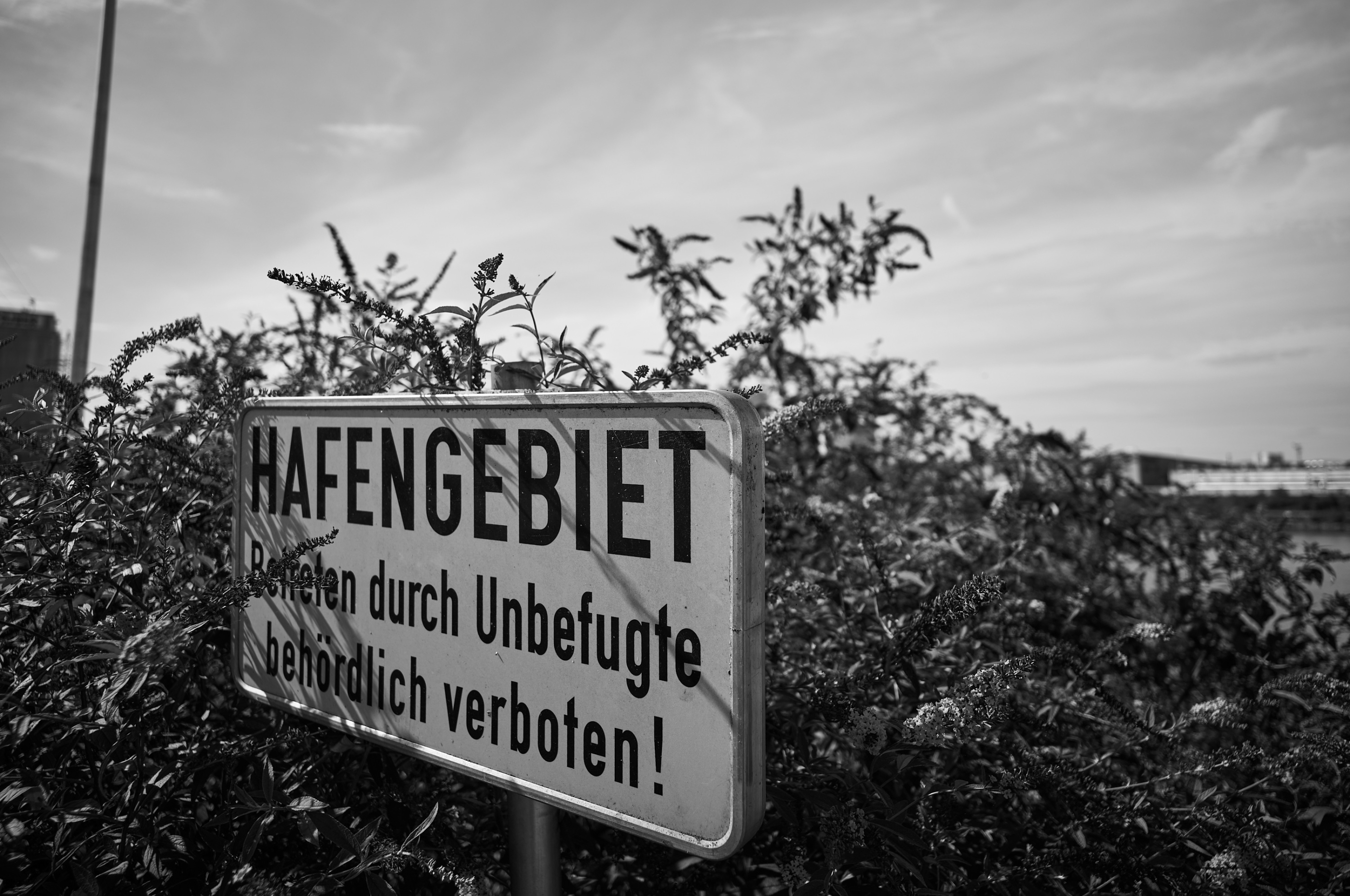 LEICA M11 Monochrom L1004588