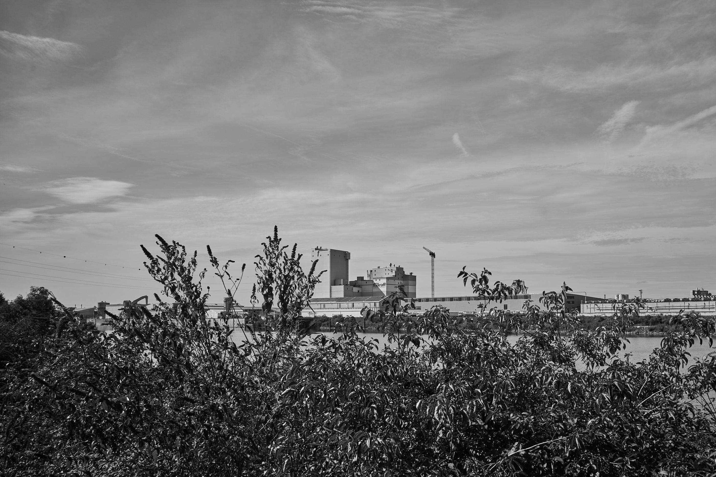 LEICA M11 Monochrom L1004589