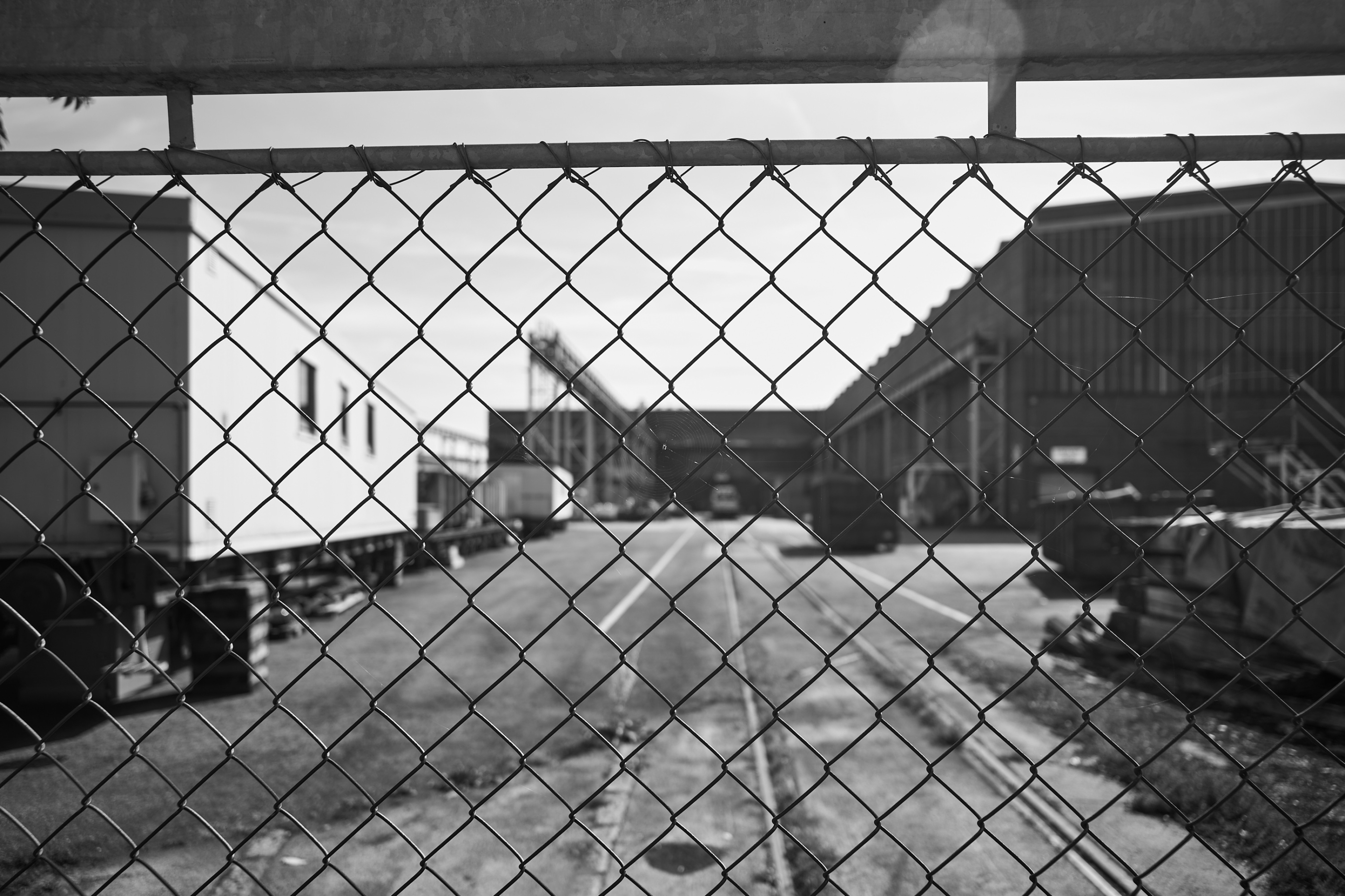 LEICA M11 Monochrom L1004652