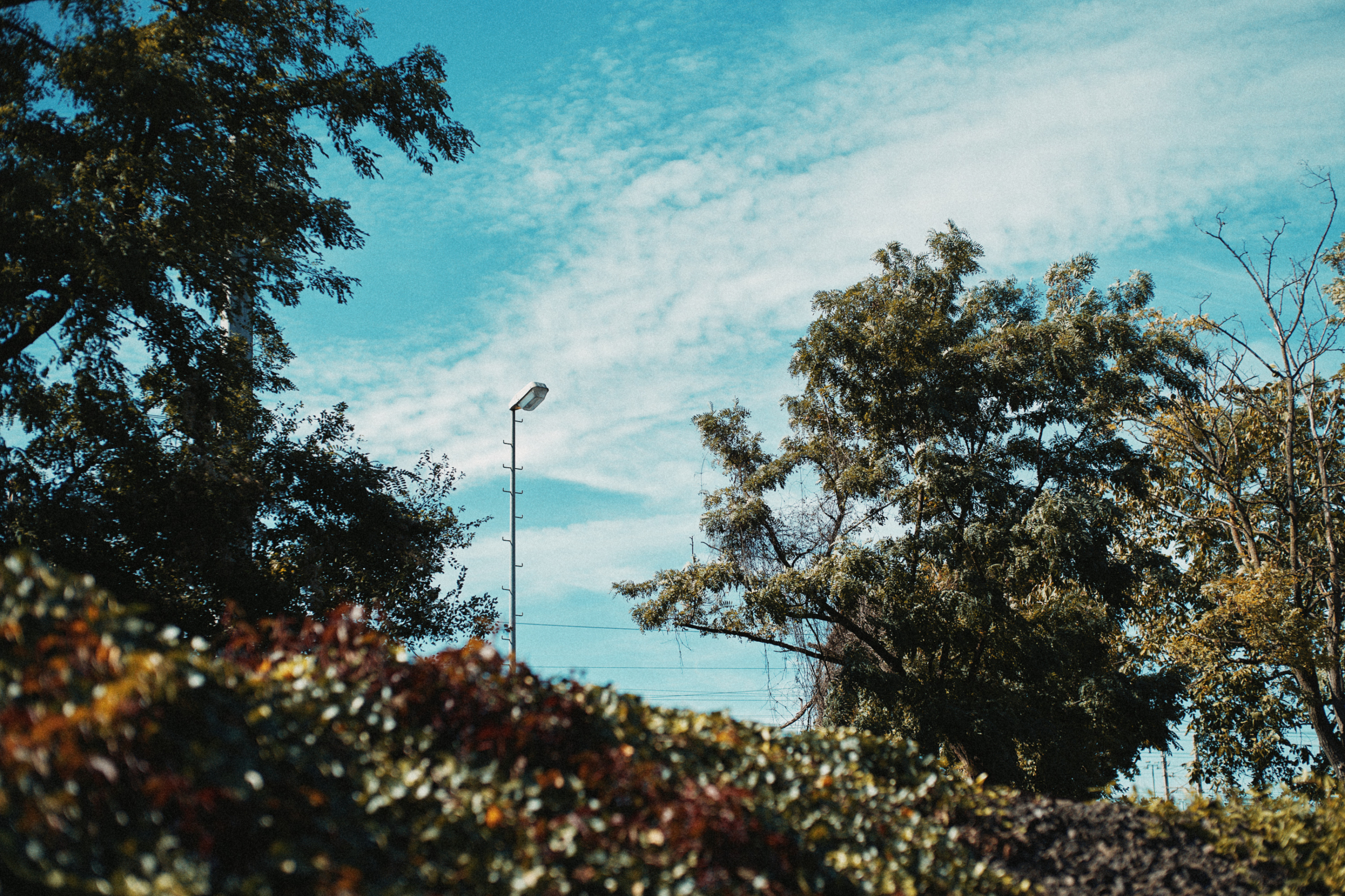 LEICA M11 P L1007770