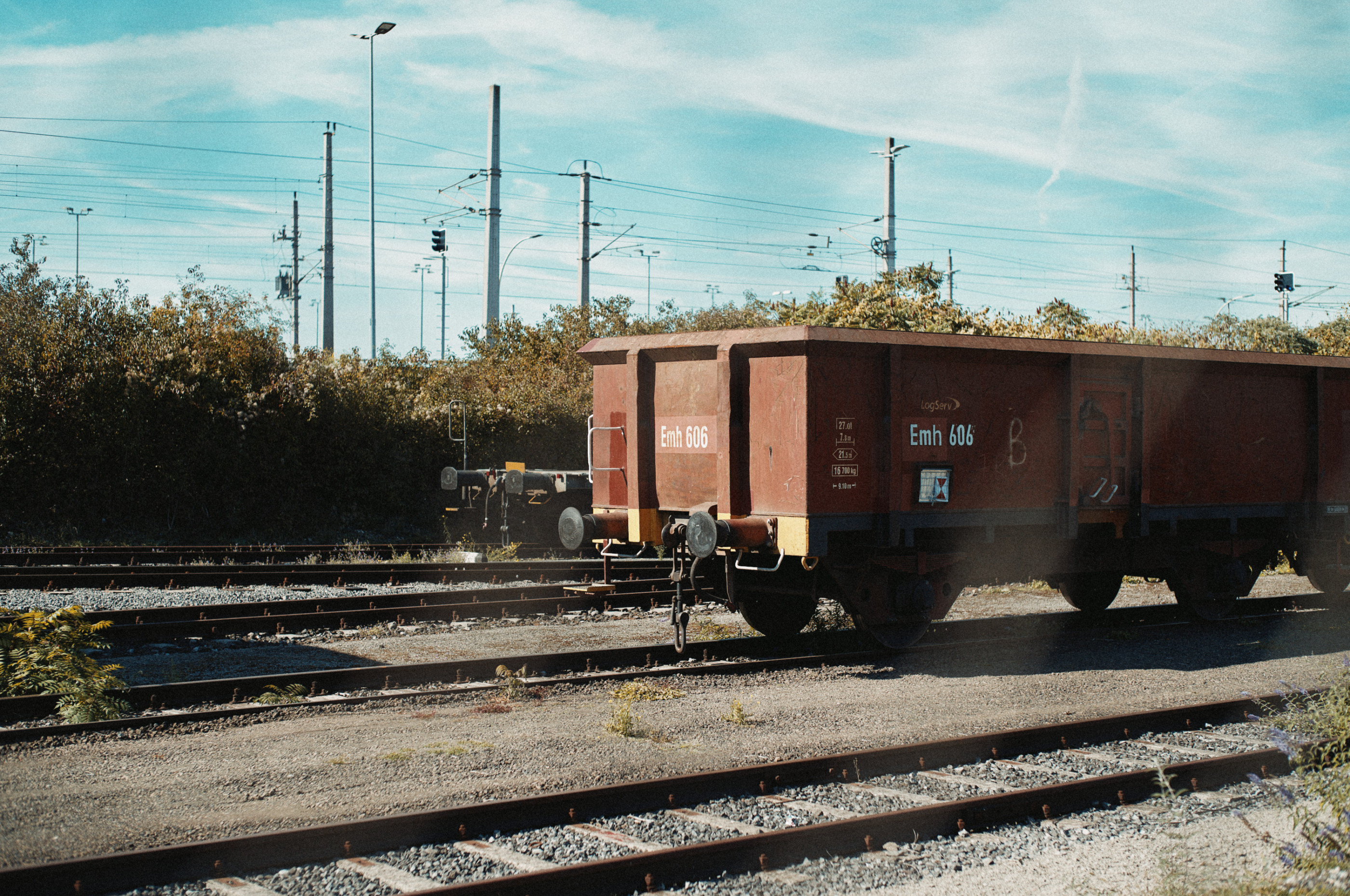 LEICA M11 P L1007775