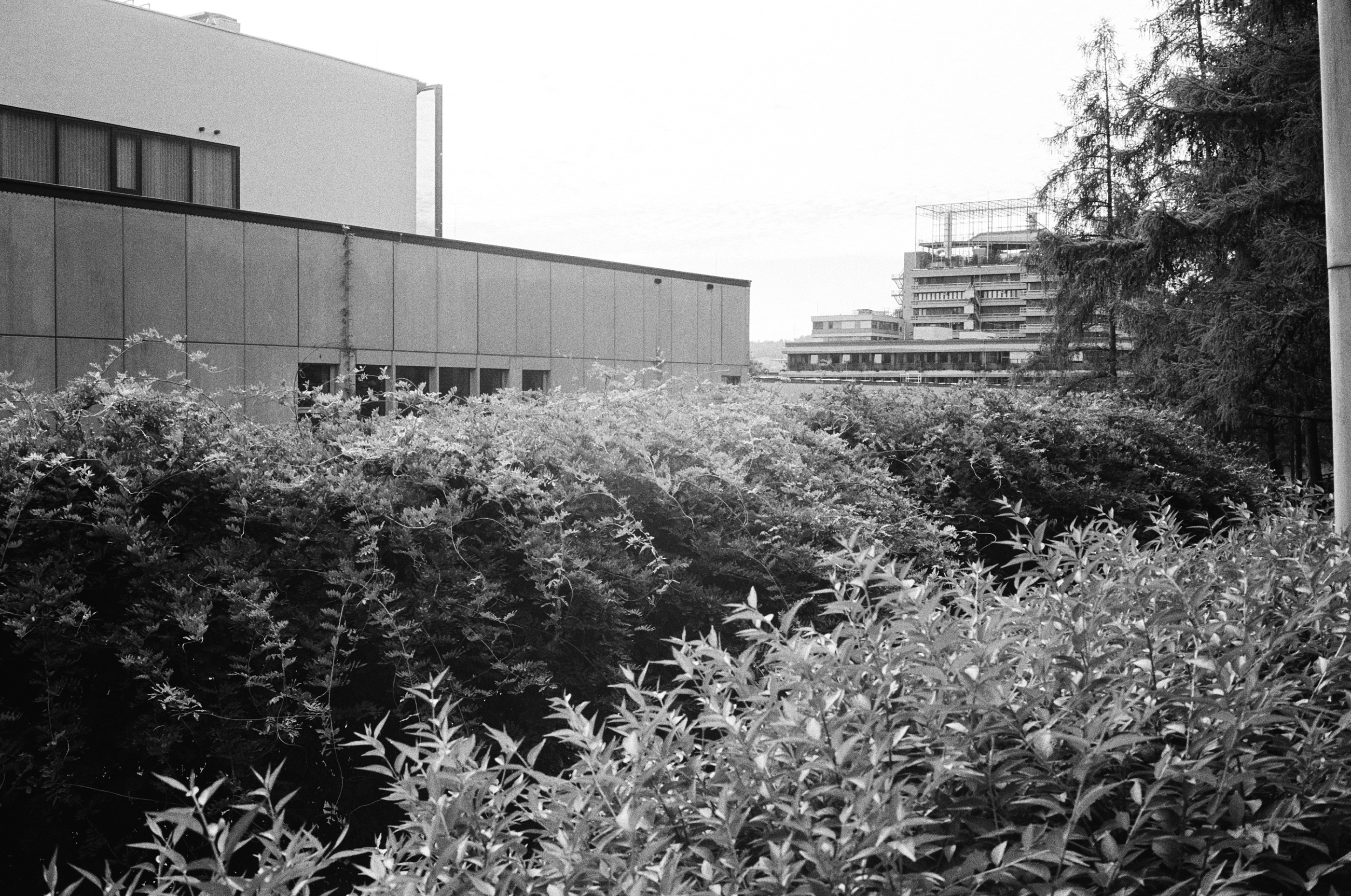 LEICA MP 523880020025