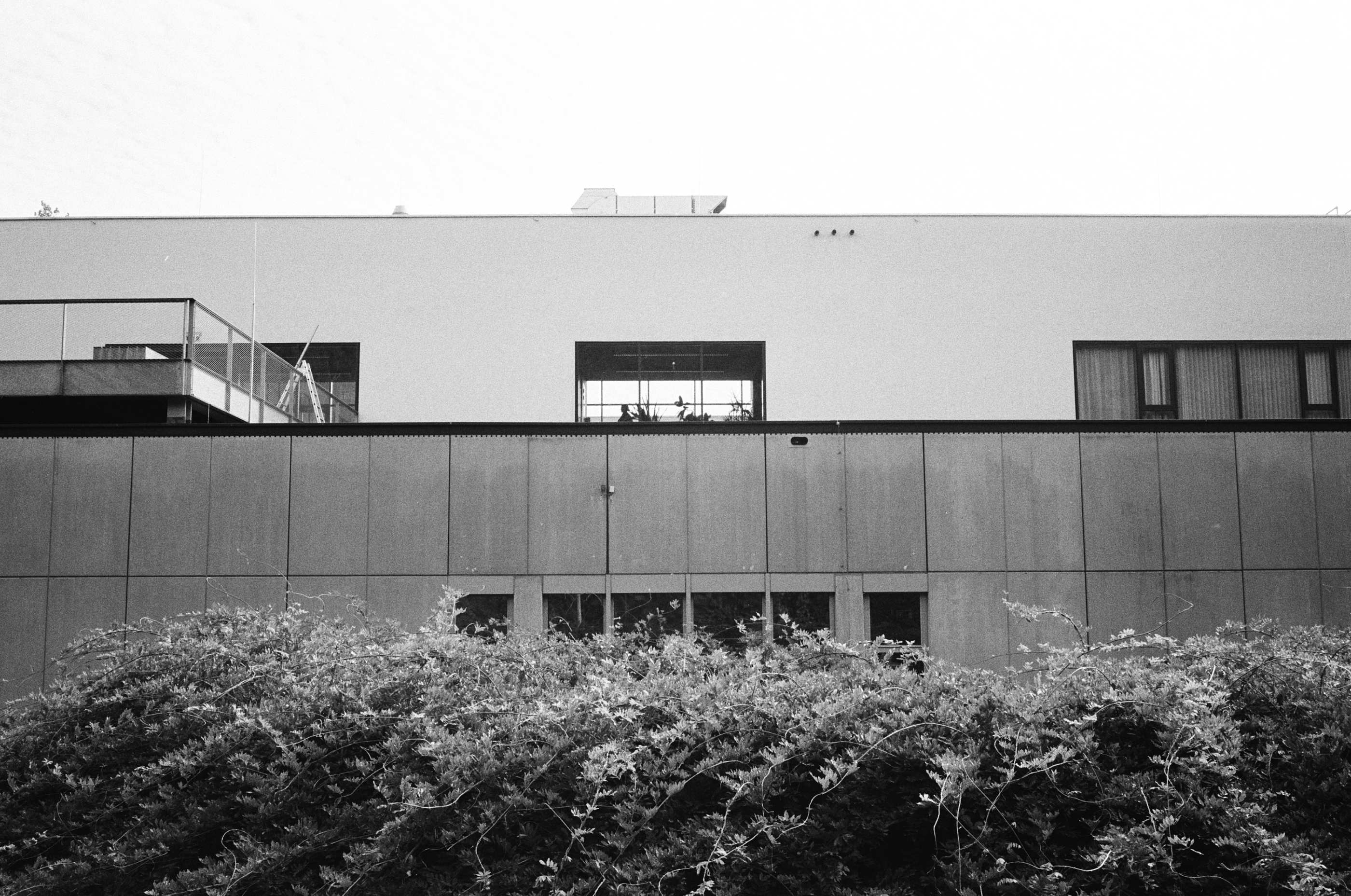 LEICA MP 523880020026