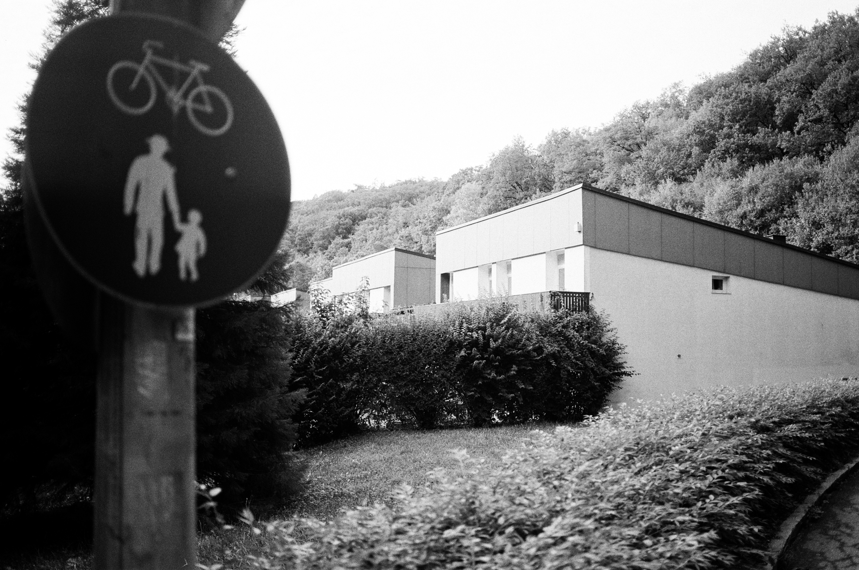 LEICA MP 523880020029