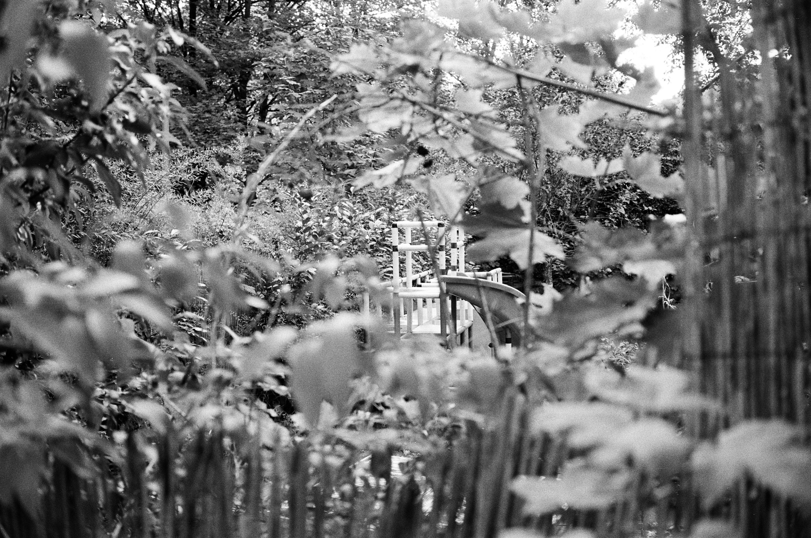 LEICA MP 523880020035