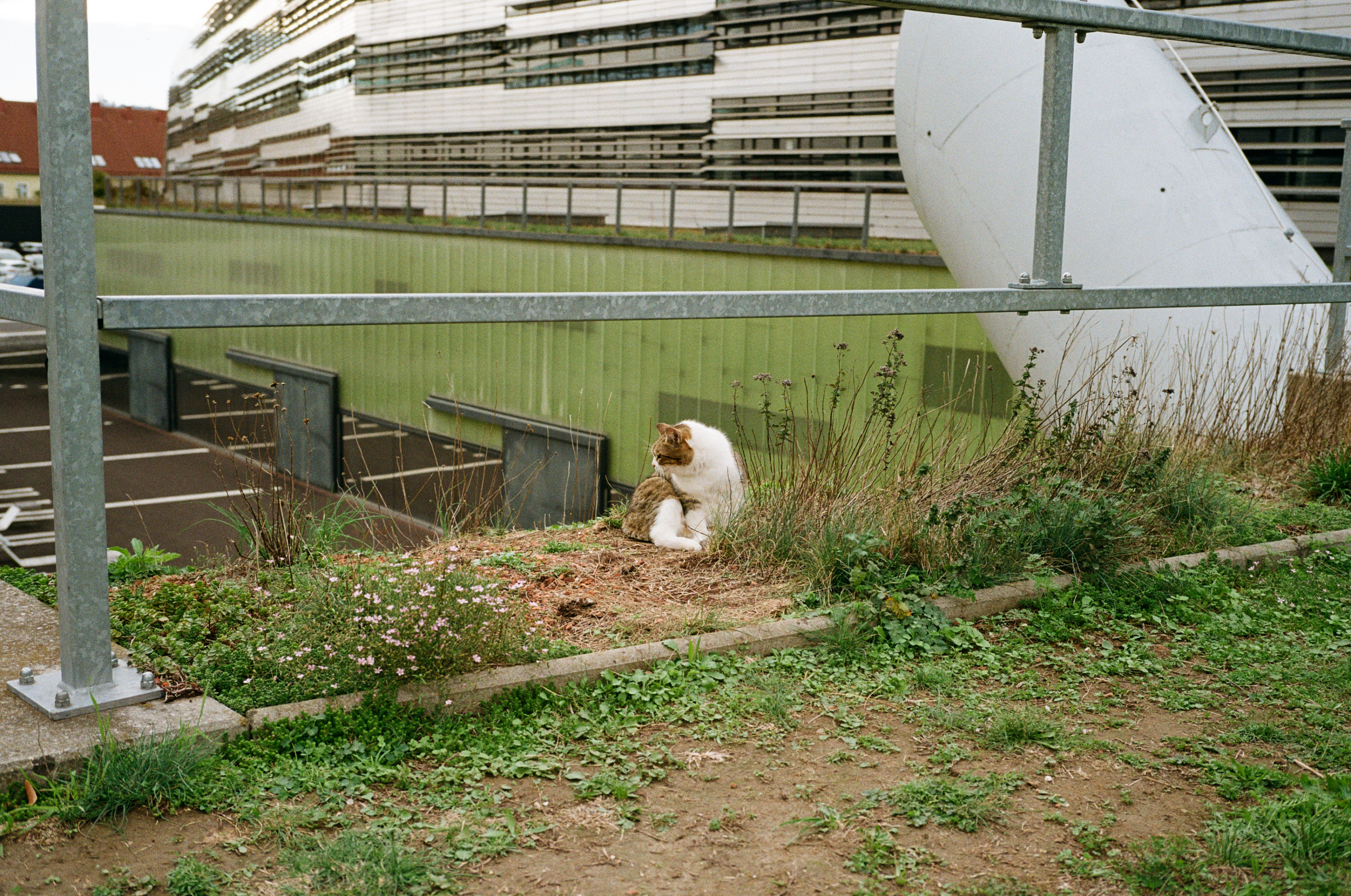 LEICA MP 523880030025