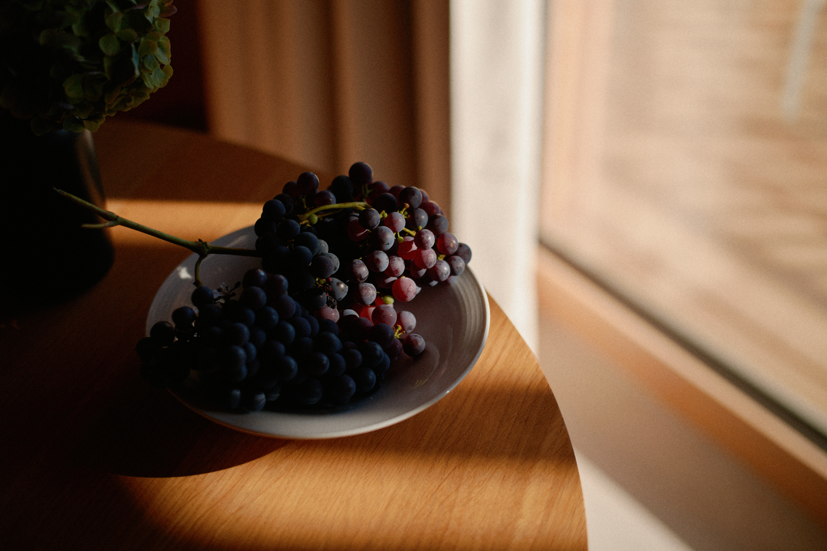 LEICA M11 P L1007820