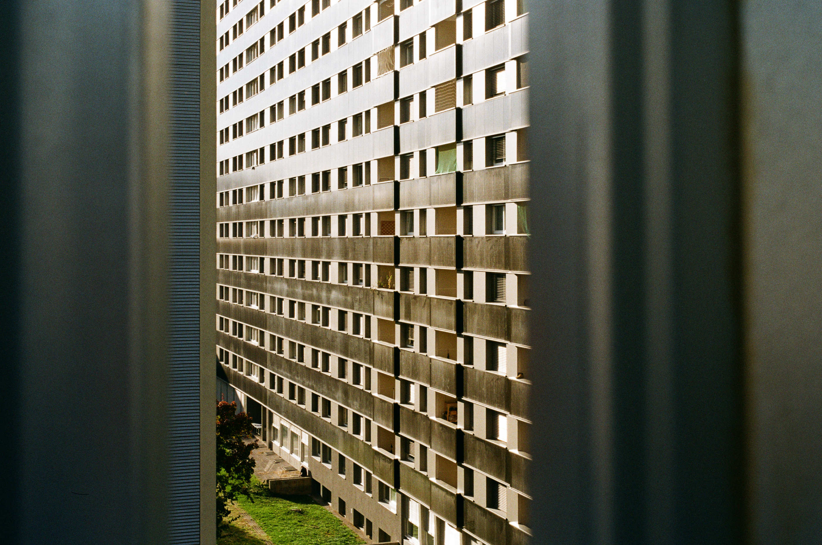 Kodak Gold 200