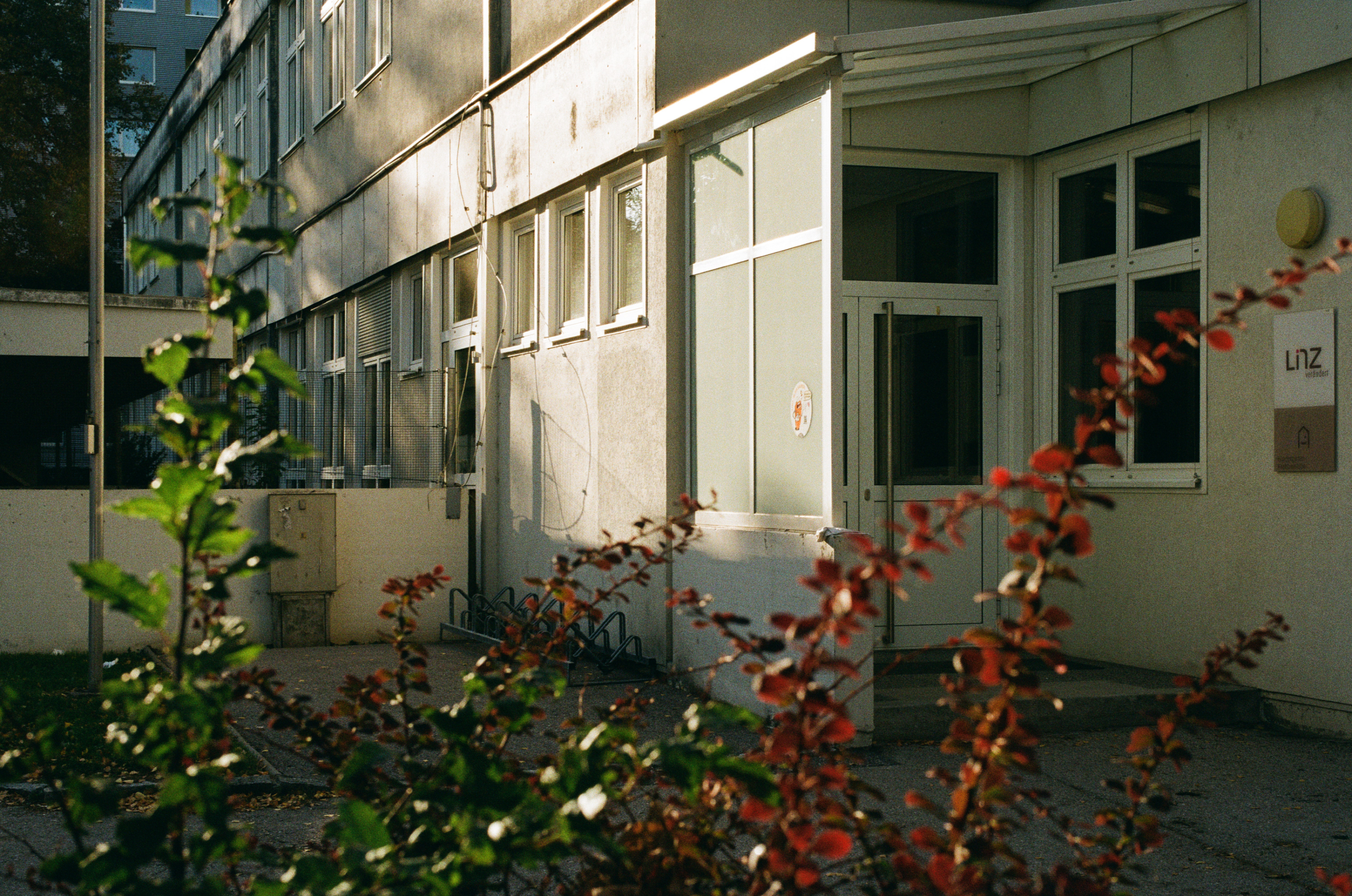 Kodak Gold 200