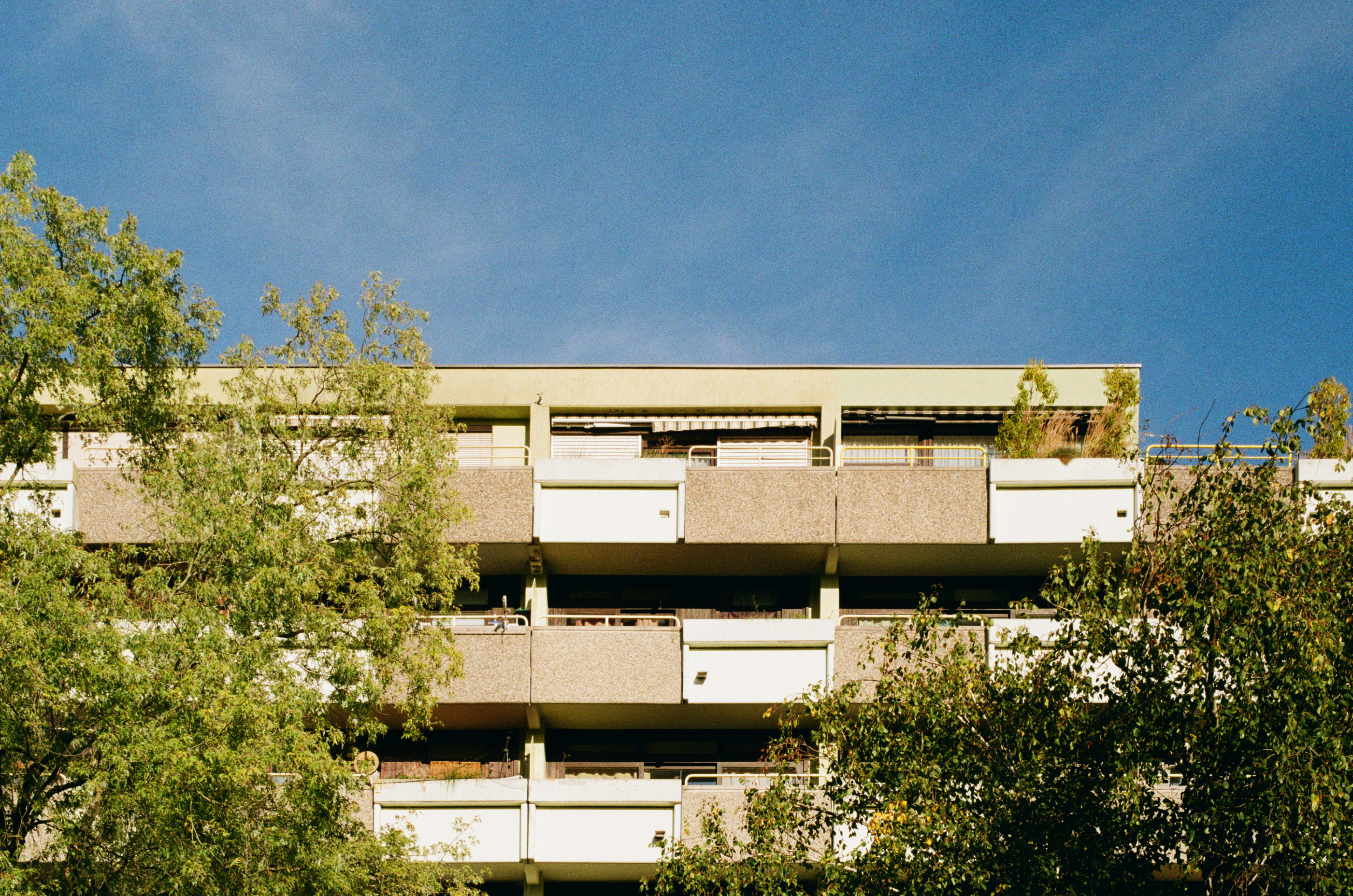 Kodak Gold 200
