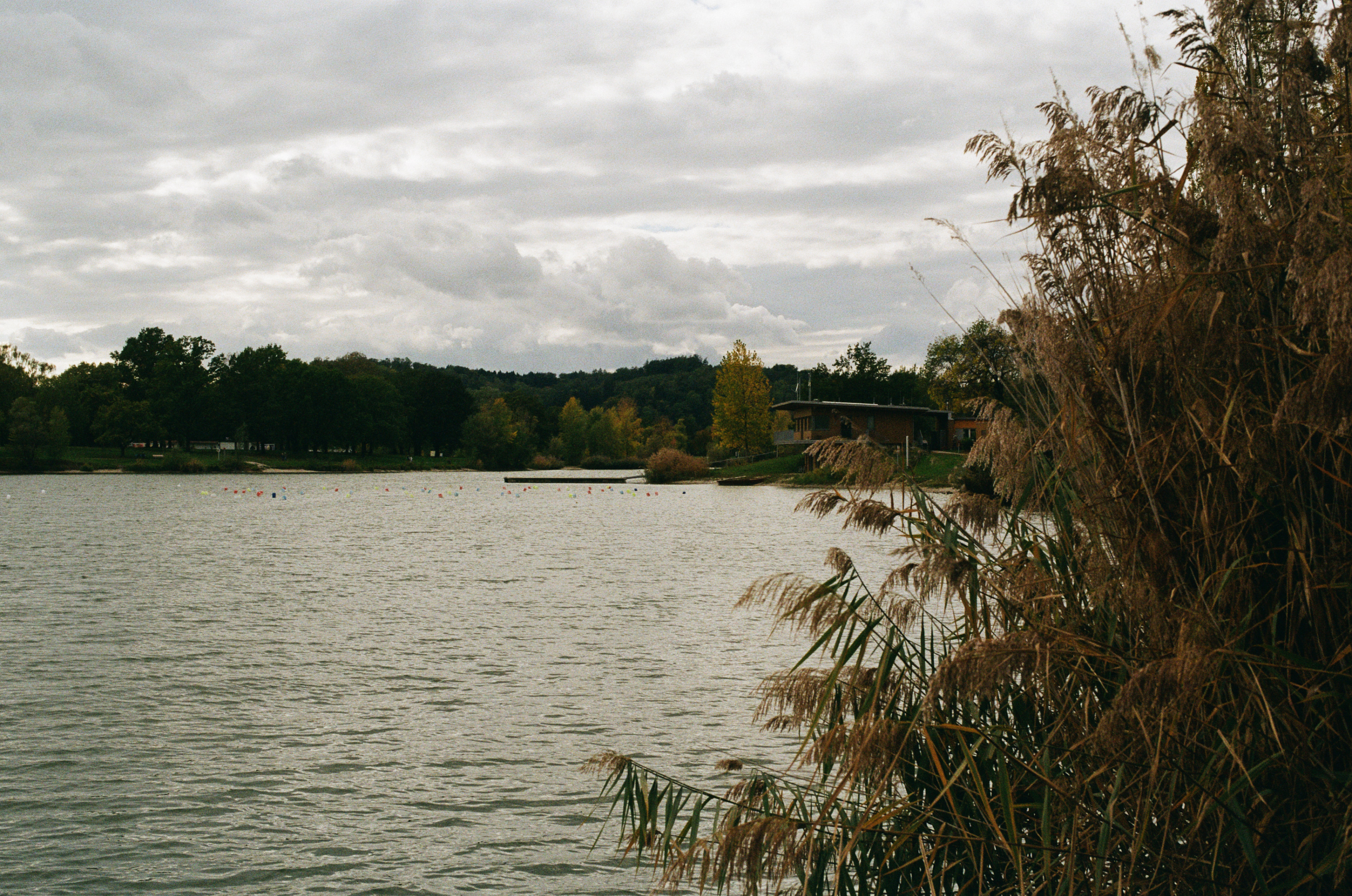 Kodak Gold 200