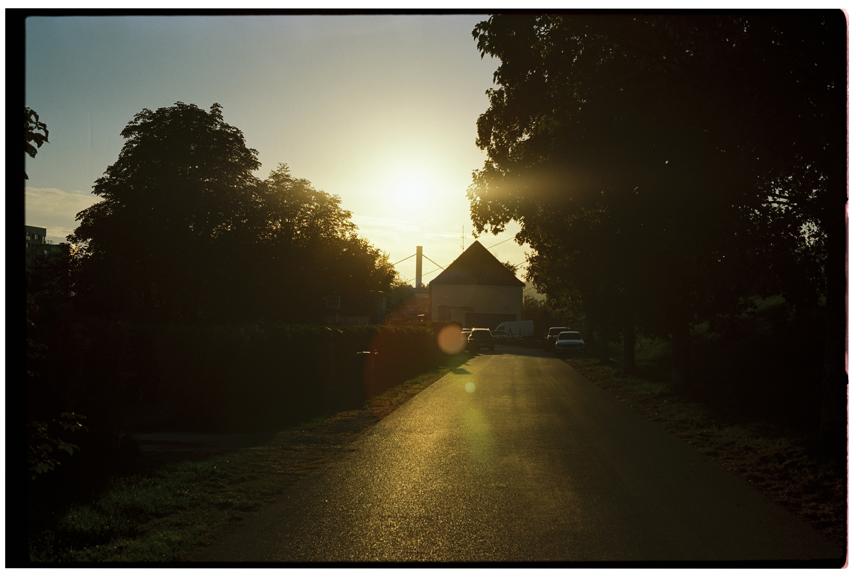 Kodak Vision3 50D