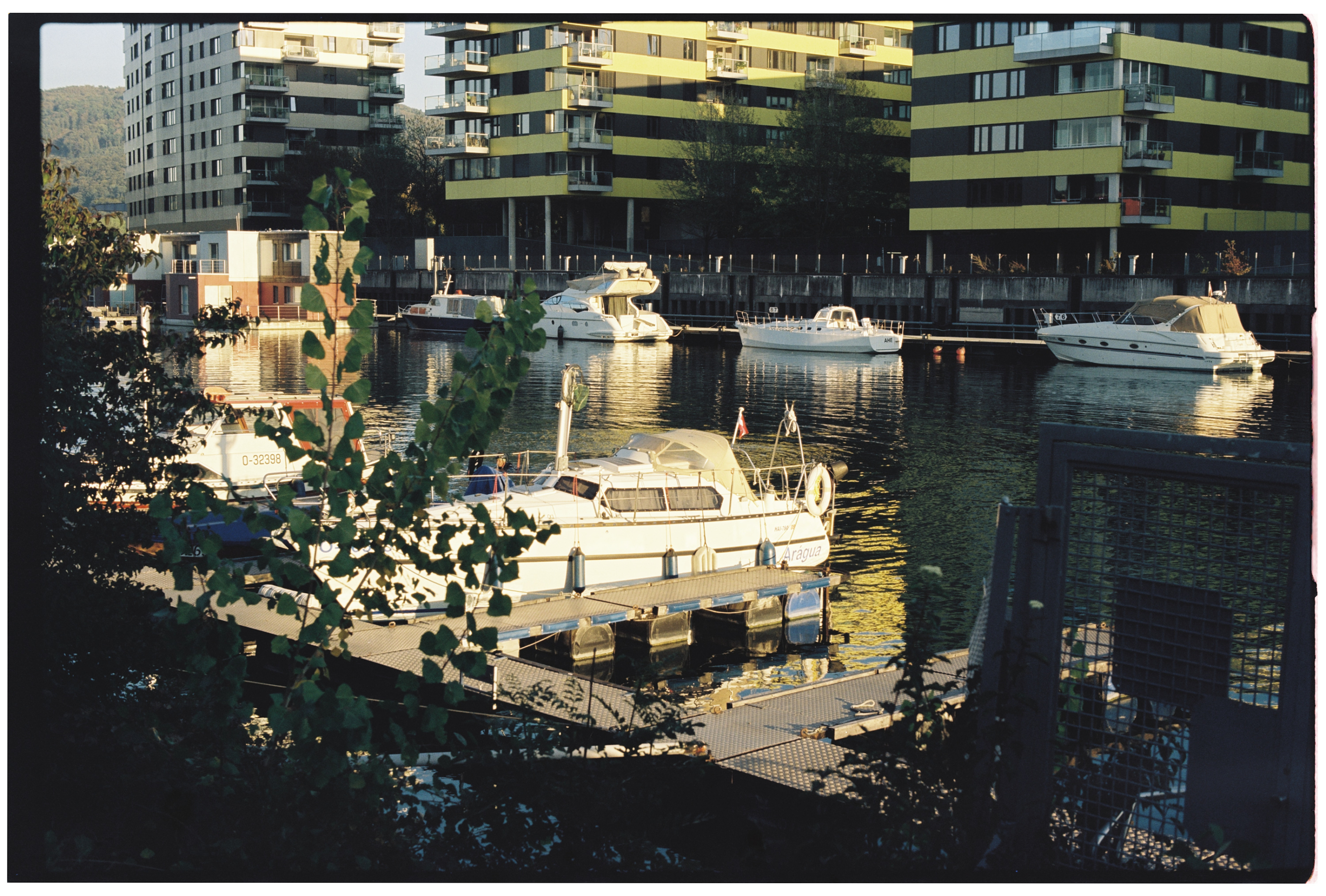 Kodak Vision3 50D