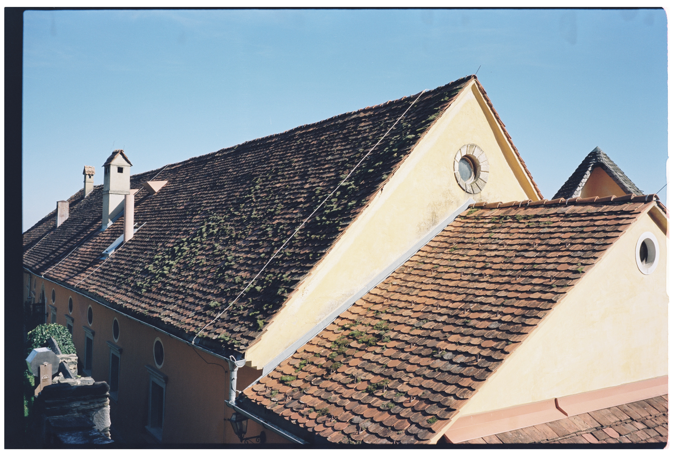 Kodak Vision3 50D