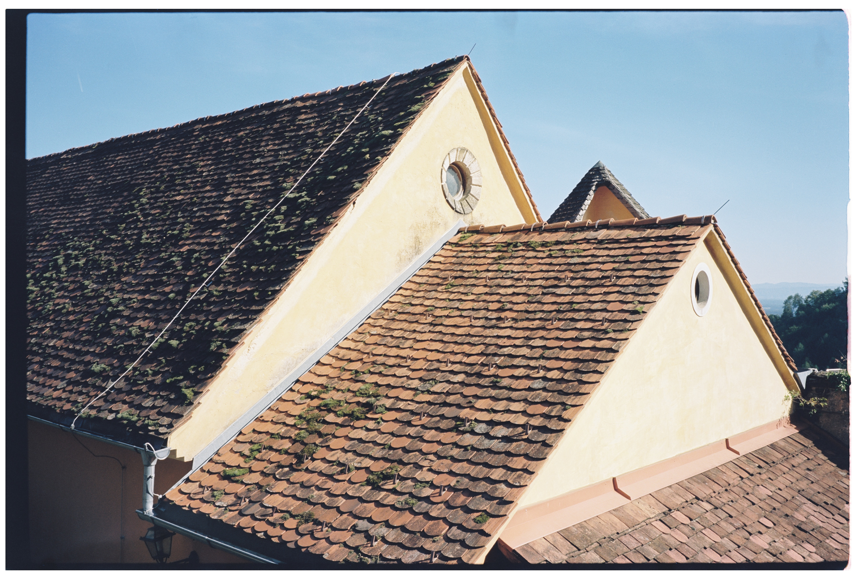 Kodak Vision3 50D