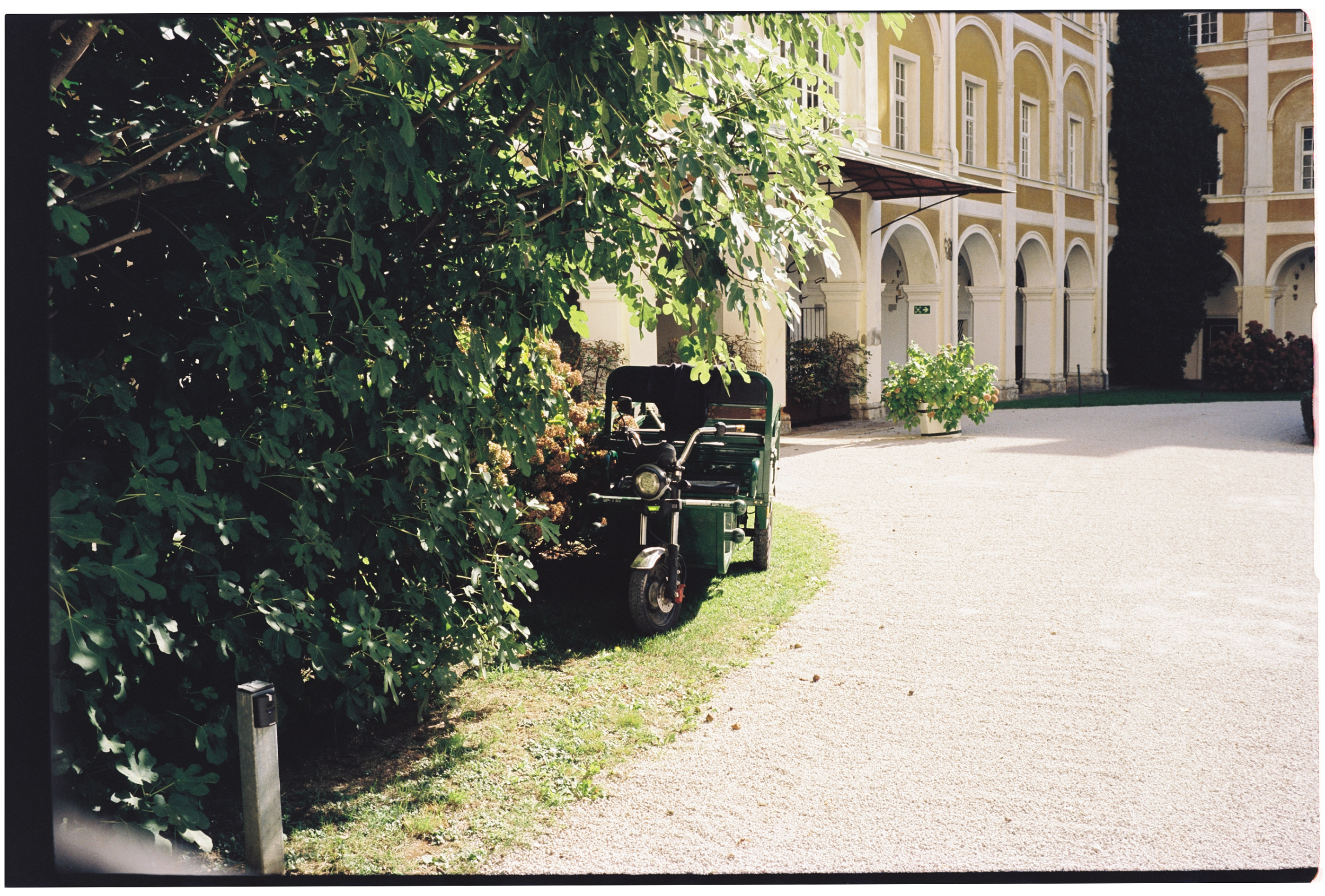 Kodak Vision3 50D