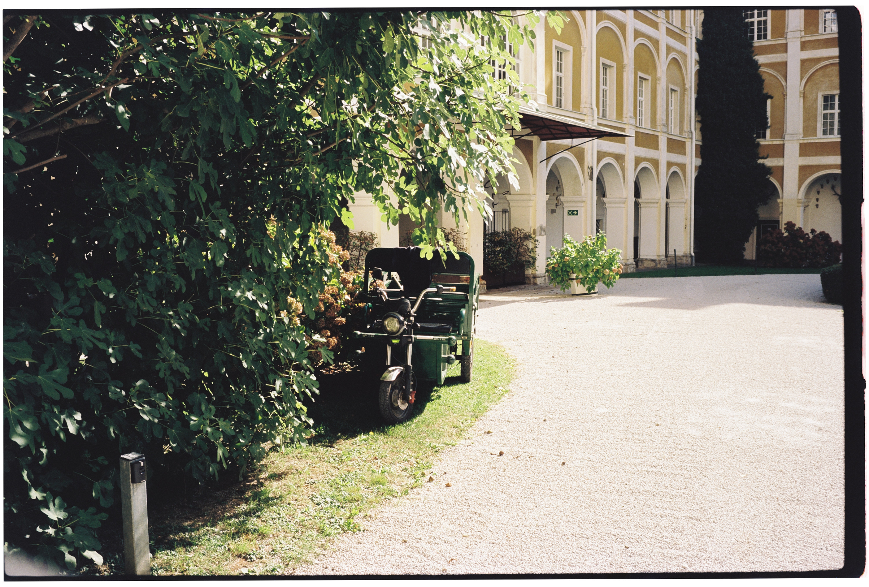 Kodak Vision3 50D