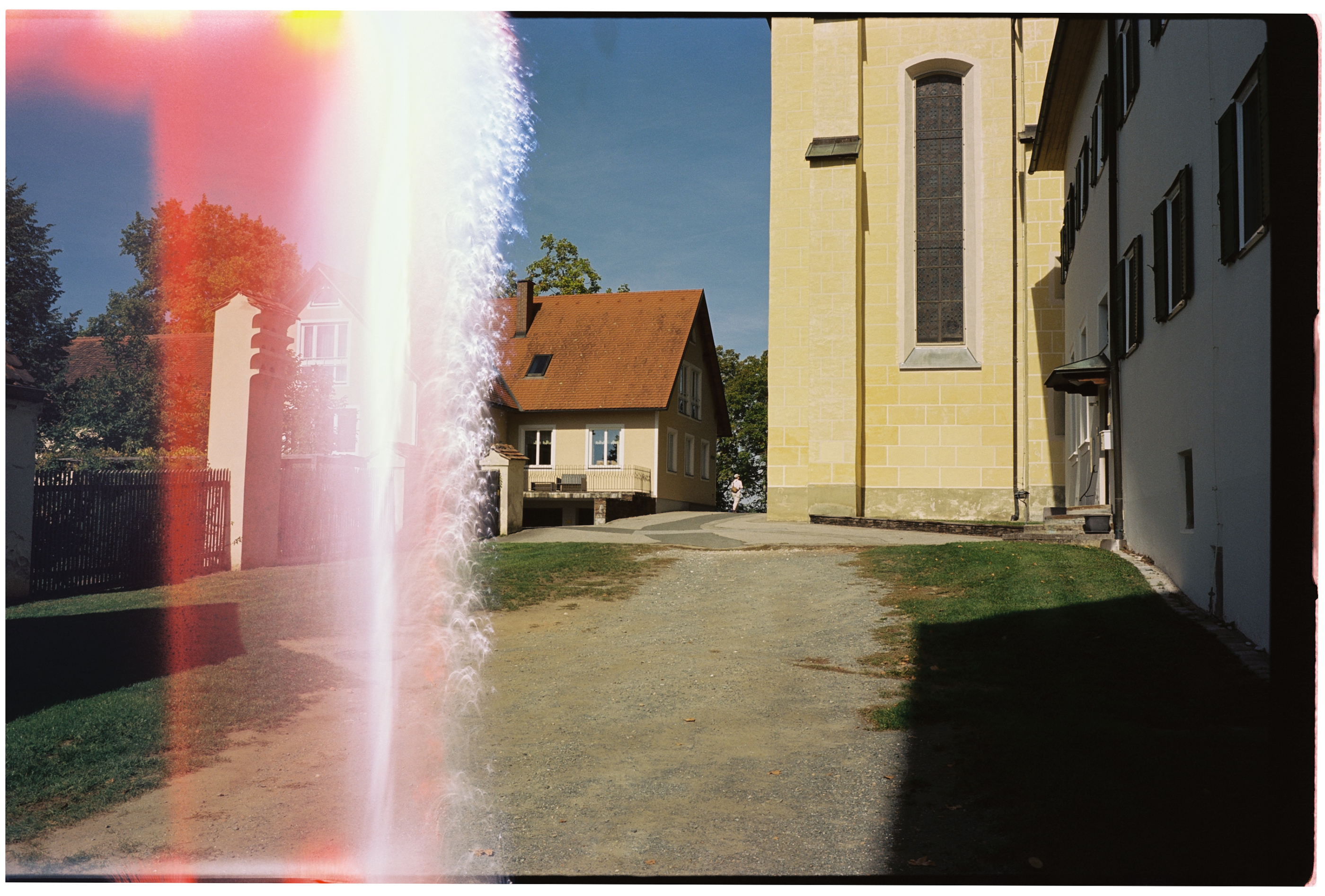 Kodak Vision3 50D