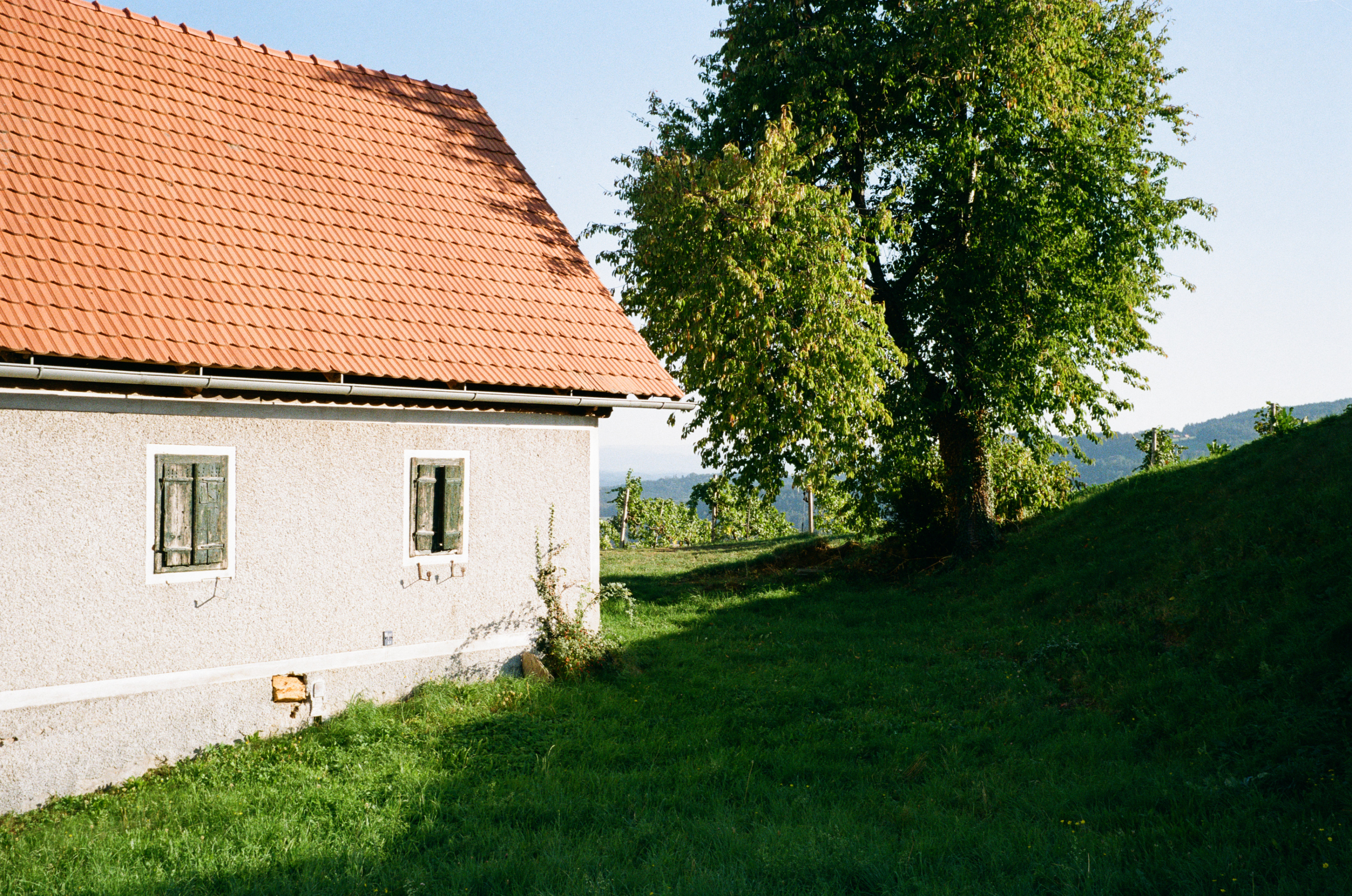 Kodak Gold 200
