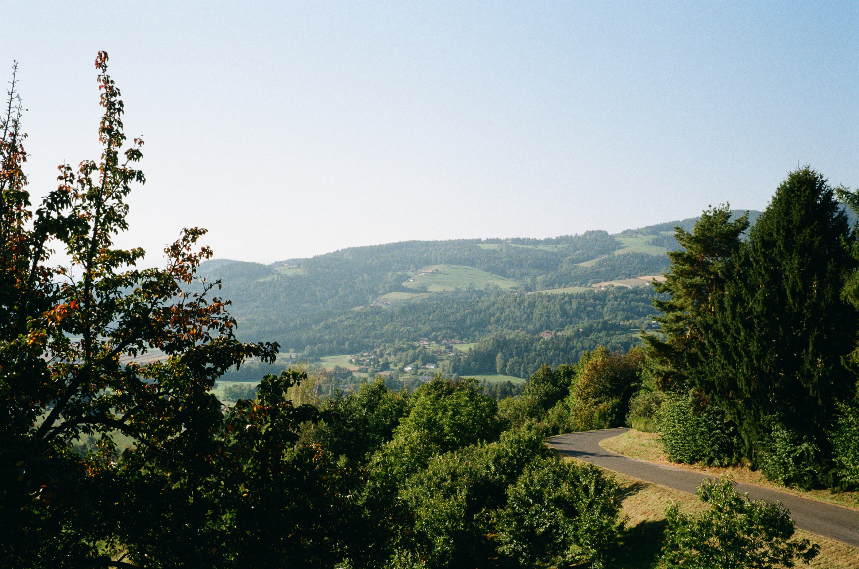 Kodak Gold 200