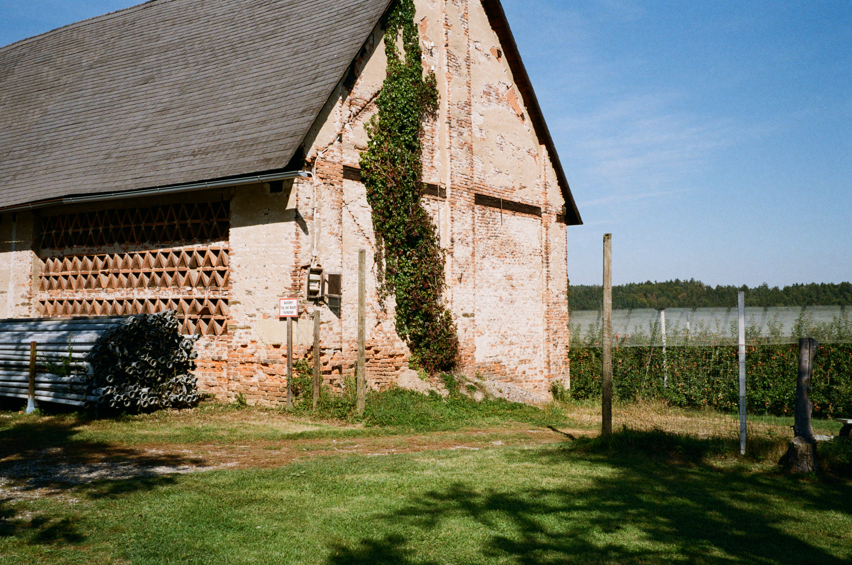 Kodak Gold 200