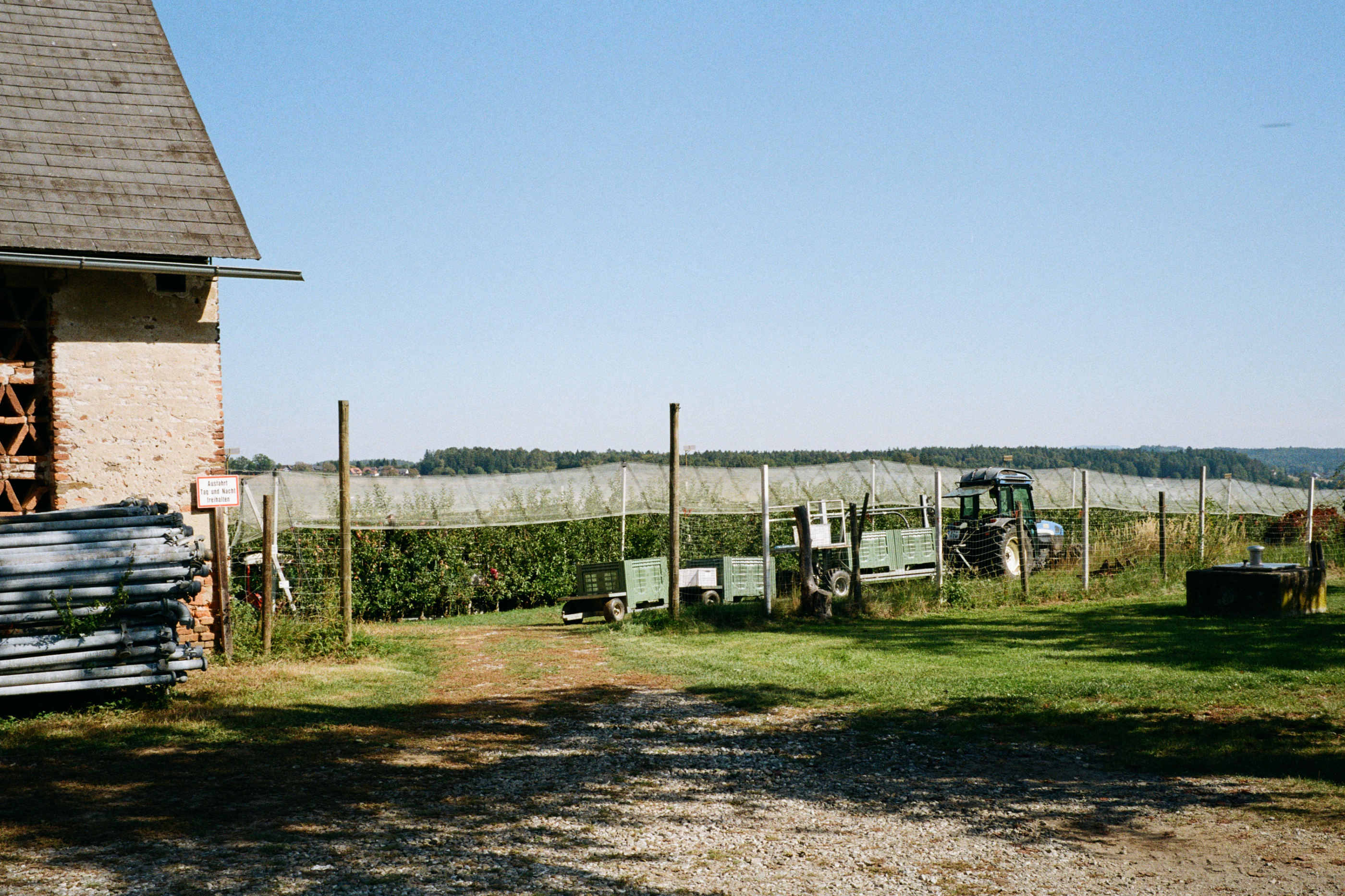 Kodak Gold 200