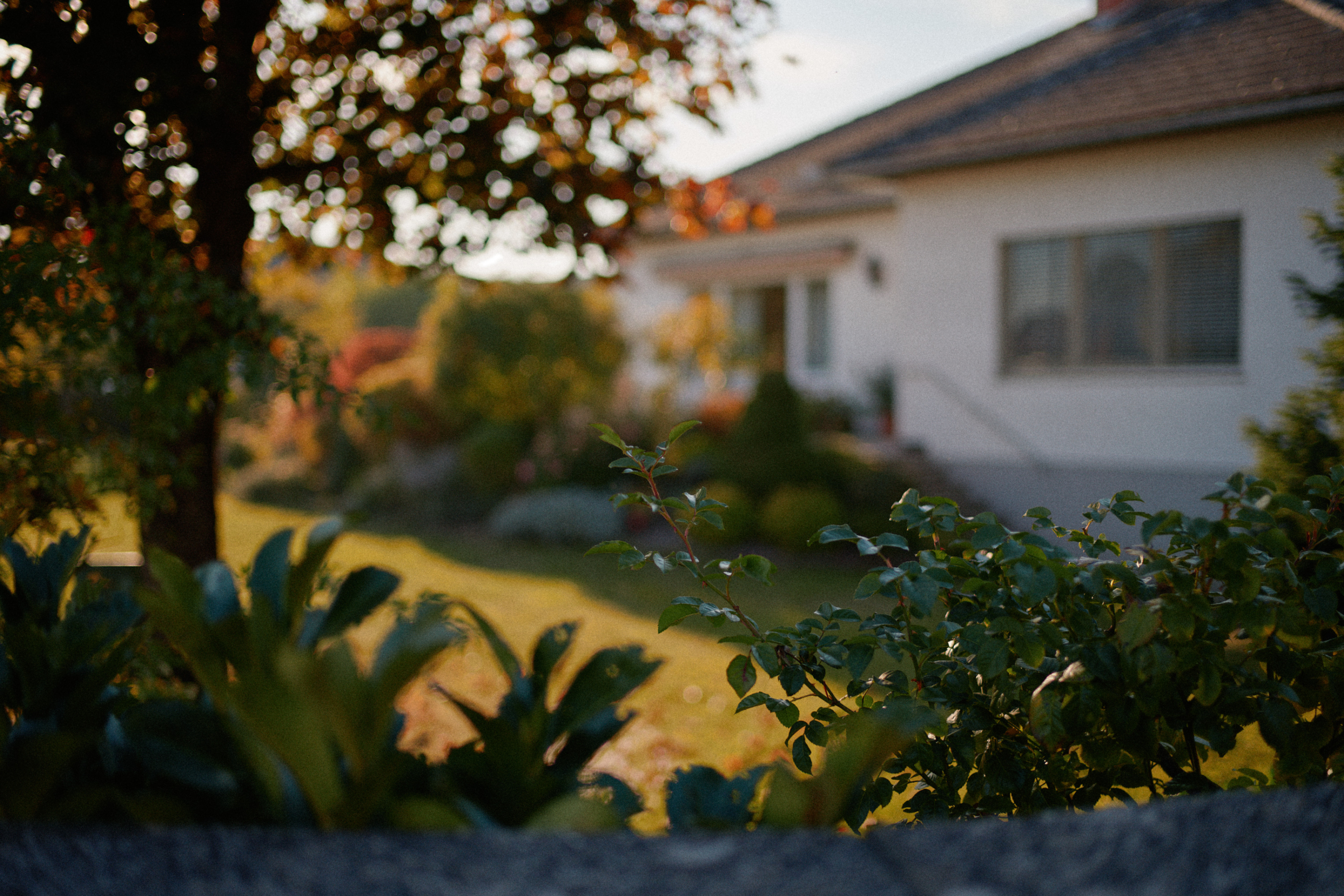 LEICA M11 P L1007992