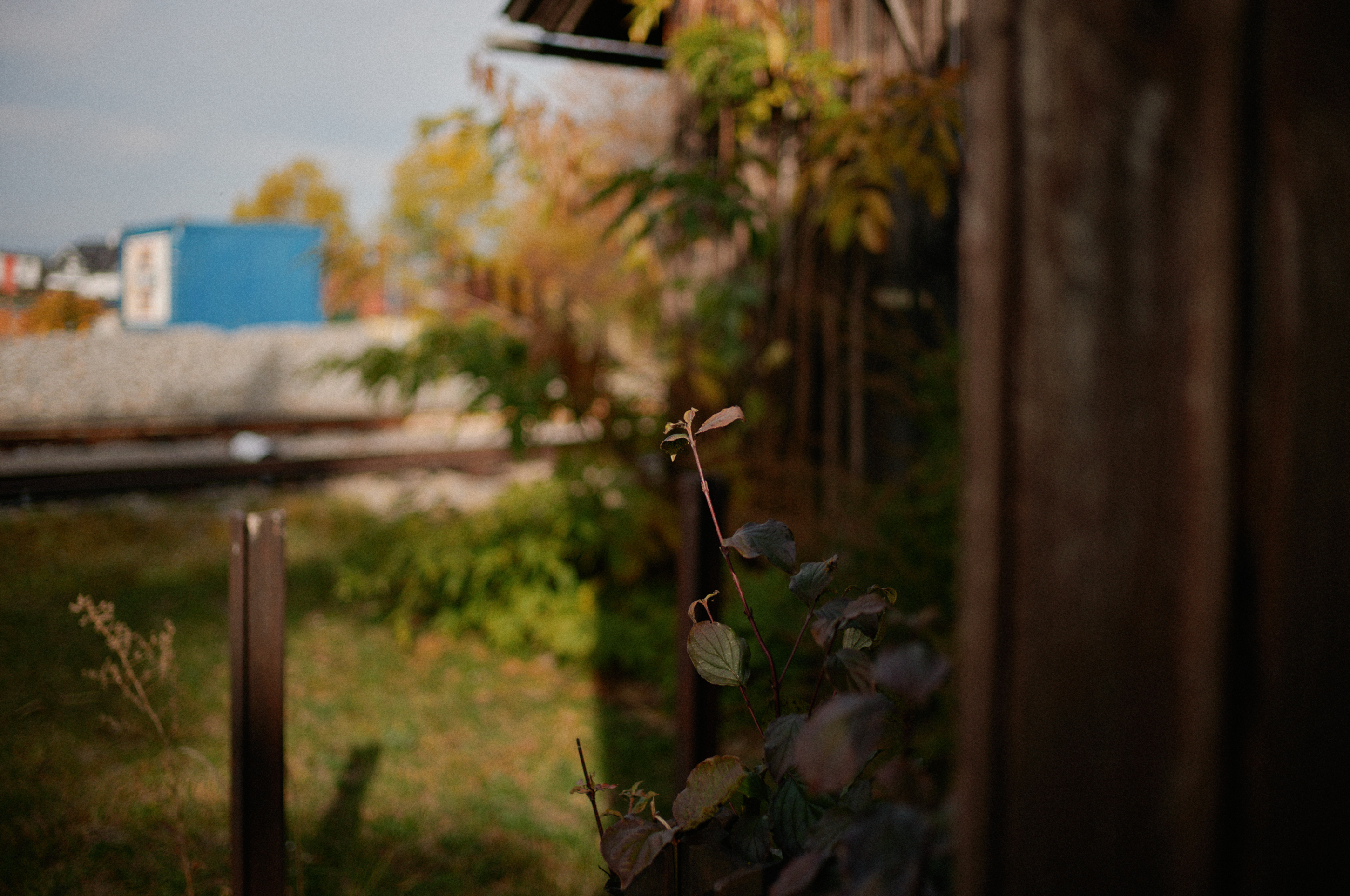 LEICA M11 P L1008048