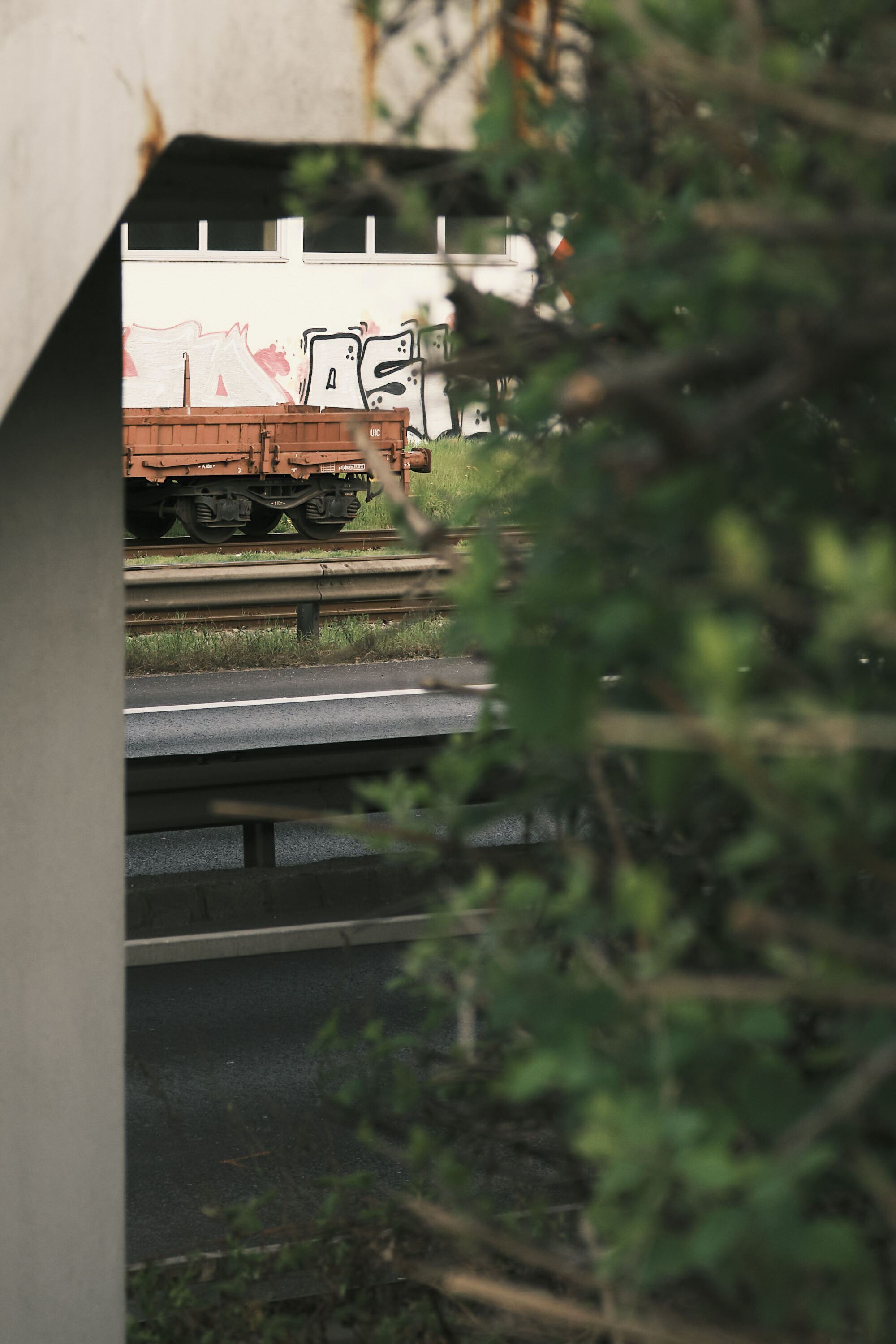 FUJIFILM GFX100 RF DSCF0887