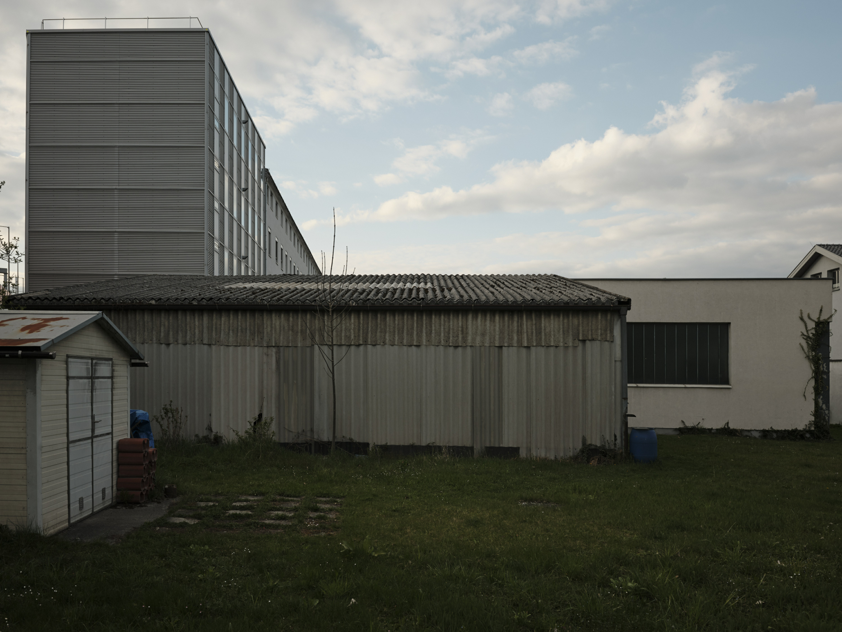 FUJIFILM GFX100 RF DSCF0905