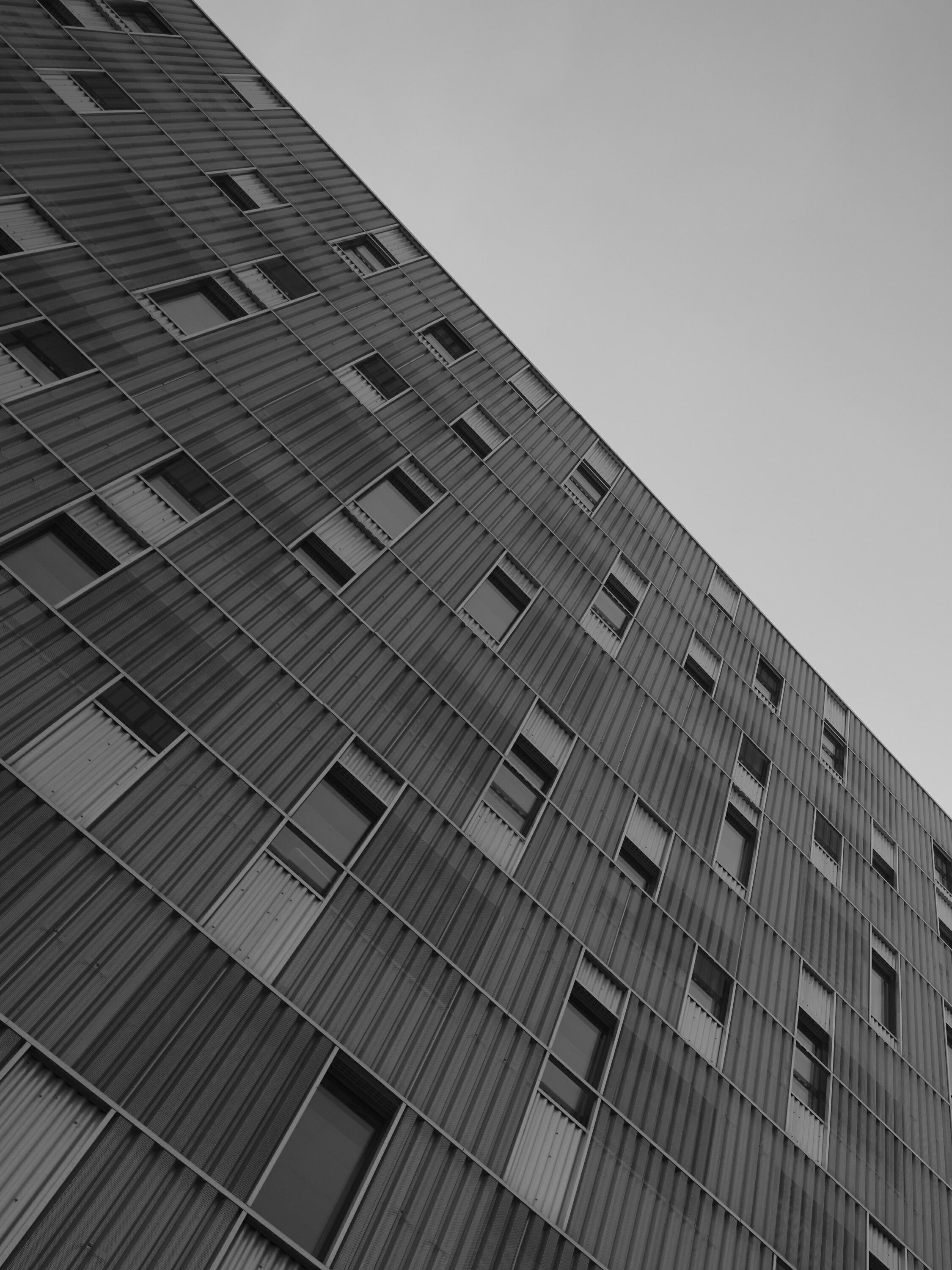 FUJIFILM GFX100 RF DSCF0975