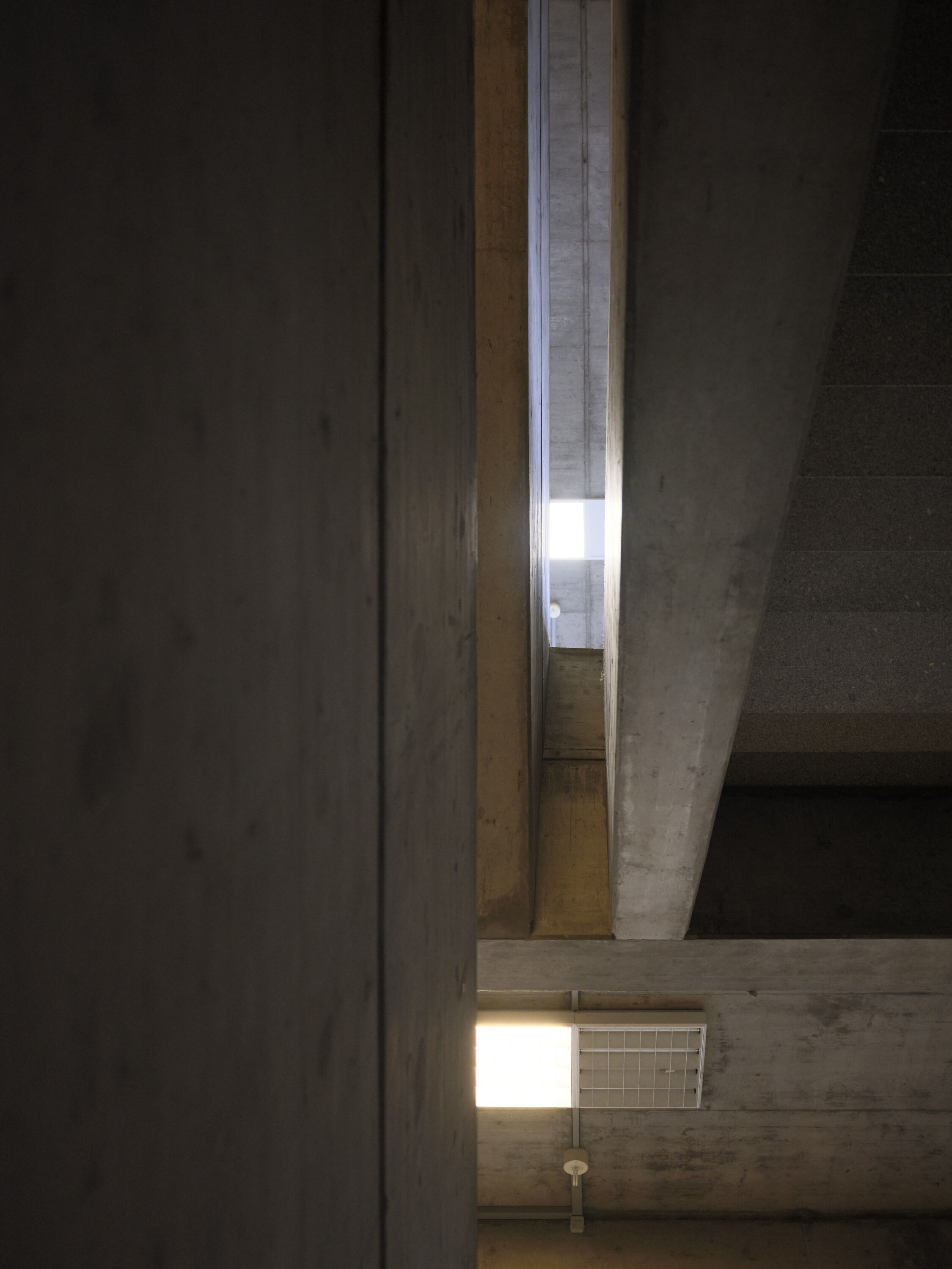 FUJIFILM GFX100 RF DSCF1064