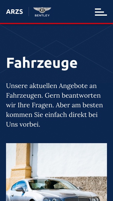 Arzs image 08