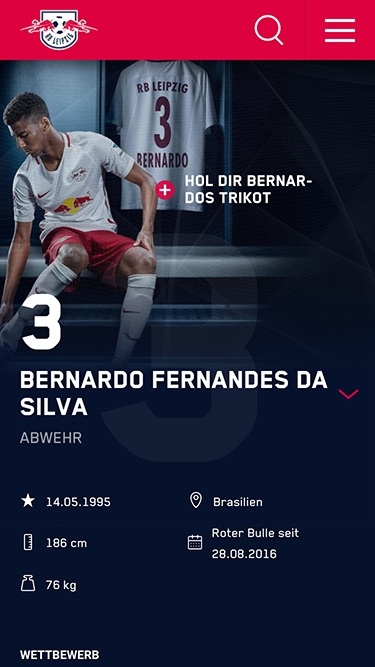 Rb leipzig website relaunch 2017 image 31